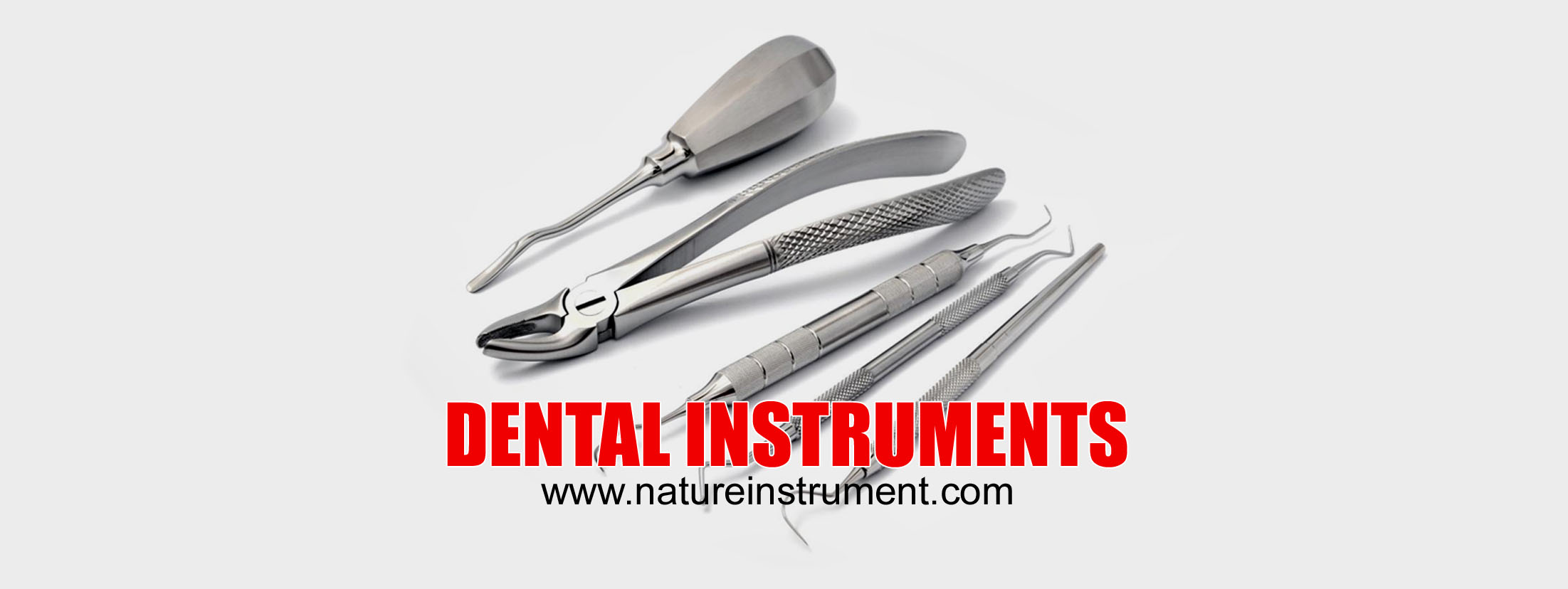 https://natureinstrument.com/source/banner/main/nature-instrument-dental-instruments.jpg
